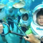 Bali Activity: Bali Sea Walking in Nusa Dua Ocean - An In-Depth Look at the Bali Sea Walking Experience