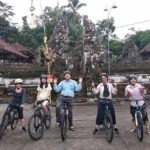 Bali Amazing Cycling Tour - Who should consider this tour?