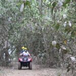 Bali Atv Riding through Cave and Waterfall - Who Should Book This Tour?