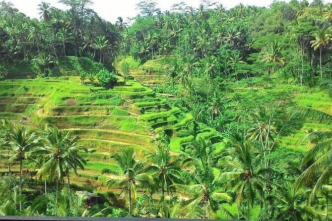 Bali Benoa Shore Excursion for cruise's passenger - All Inclusive - FAQ