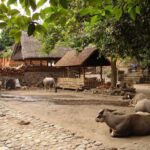 Bali Best SNORKELING at BLUE LAGOON and EAST BALI TOURS - FAQ