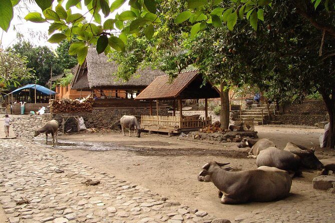 Bali Best SNORKELING at BLUE LAGOON and EAST BALI TOURS - FAQ