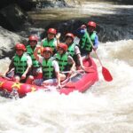 Bali Bintang Rafing (BBR)-Ayung River - Who Should Consider This Tour?