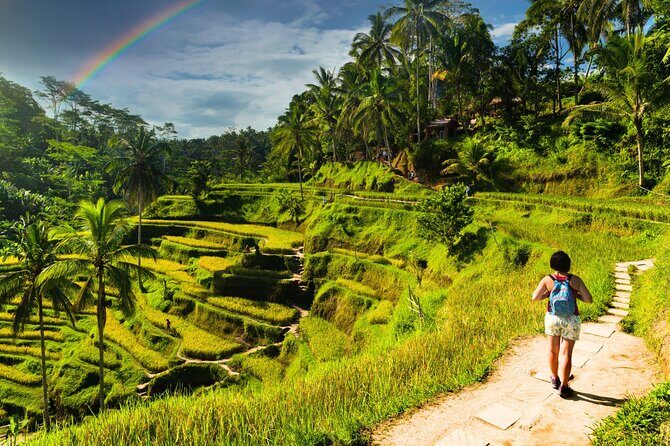 Bali Cultural Experience - The Sum Up: Who Should Consider This Tour?