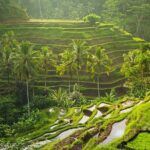 Bali Customized Private Tour - Final Thoughts: Who Should Book This Tour?