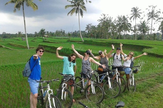 Bali Cycling Tour - FAQs About the Bali Cycling Tour