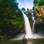Bali Full-Day Car Charter: Ubud and Kintamani Volcano Trip - Why This Tour Offers Great Value