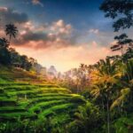 Bali Full-Day Sightseeing Trip with Lunch - Detailed Breakdown of the Itinerary: What Youll See and Experience