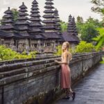 Bali Full-Day Temple and Cultural Village Tour - Who Will Love This Tour?