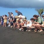Bali Horse Riding and Turtle Release at Saba Beach - What Makes This Tour Stand Out?