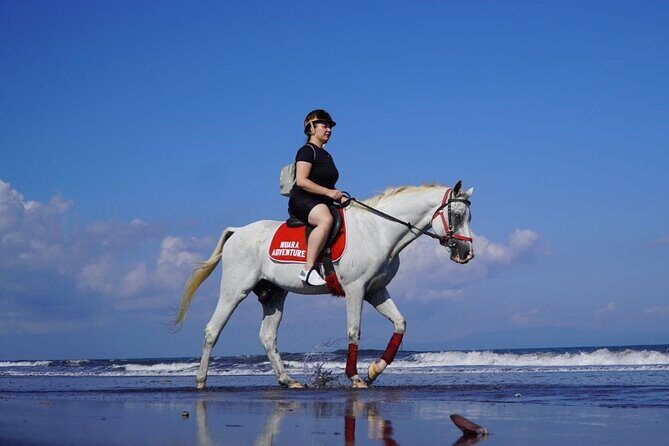 Bali Horse Riding on The Beach Experience - Who Should Consider This Tour?