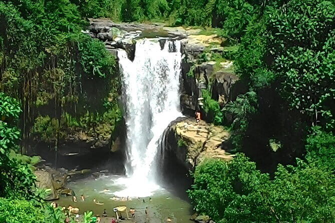 Bali Horse Riding + Waterfall + Rice Terrace + Lunch - Who Should Consider This Tour?