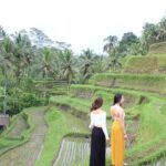 Bali Instagram Most Iconic Spots Private Tour - Transportation and Logistics