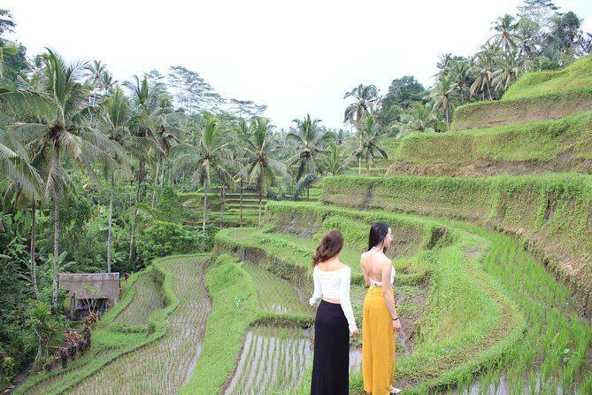 Bali Instagram Most Iconic Spots Private Tour - Transportation and Logistics