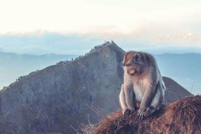 Bali: Mt Batur Sunrise Trekking with Breakfast Atop - An In-Depth Look at the Mount Batur Sunrise Trekking Tour