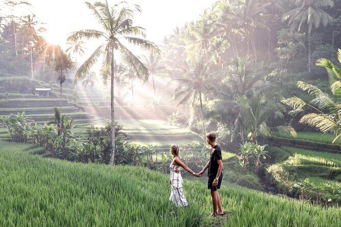 Bali Night Market Experience and Ubud Highlights tour - Why This Tour Offers Good Value