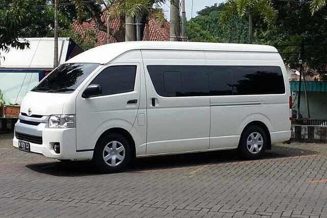 Bali Private Car Charter with Chauffeur - Who Should Consider This Tour?