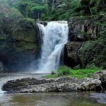 Bali Private Car Charter With English Speaking Driver - Who Is This Tour Best For?