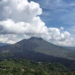 Bali Private Car Charter With English Speaking Driver To Ubud Area - What Travelers Say