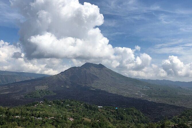 Bali Private Car Charter With English Speaking Driver To Ubud Area - What Travelers Say