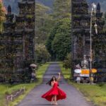 Bali : Private Fullday trip, Discover North Bali Destination - Who Should Consider This Tour?
