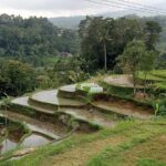 Bali Private Tour Guide And Driver - Practicalities and Considerations