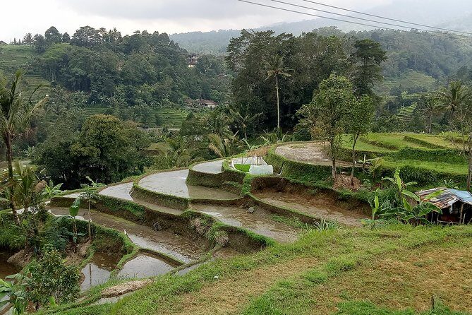 Bali Private Tour Guide And Driver - Practicalities and Considerations