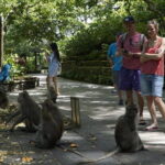 Bali Private Tour Waterfall with Tanah Lot Temple - Dive Into Bali’s Natural Beauty and Sacred Sites