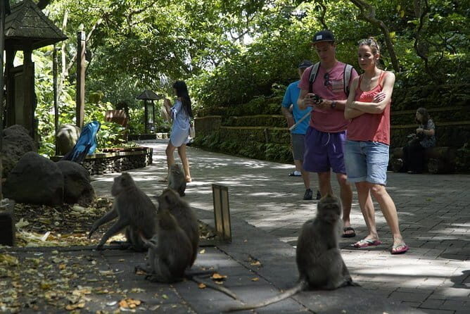Bali Private Tour Waterfall with Tanah Lot Temple - Dive Into Bali’s Natural Beauty and Sacred Sites