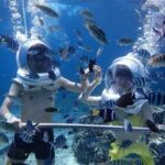 Bali Sea Walker under Water experience Watersport - Frequently Asked Questions