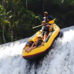Bali Sea Walking and Telaga Waja Rafting Trip Adventure - Who Is This Tour Perfect For?