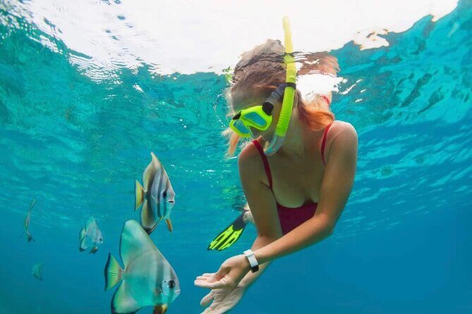 Bali Snorkeling at Blue Lagoon with Transport and Lunch - Frequently Asked Questions