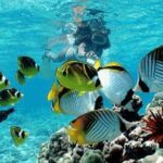 Bali Snorkeling Blue Lagoon and Tanjung Jepun All Included - Authentic Experiences and Honest Reflections