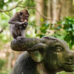 Bali: Swing Heaven, Monkey Forest and Waterfall Guided Tour - What This Tour Means for You