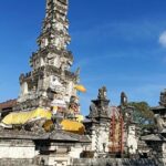 Bali Swing Packages and Denpasar City Private Tour - Practical Details and What to Expect