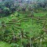 Bali Tour-Packages 2 Days: Best Bali Short Trip - Authenticity and Traveler Insights