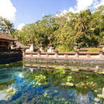 Bali Ubud Jungle Swing: Monkey Forest and Waterfall Private Tour - Who Should Consider This Tour?