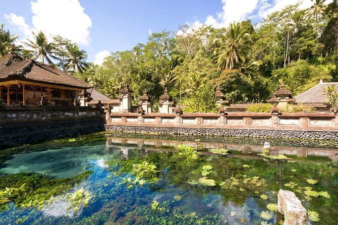 Bali Ubud Jungle Swing: Monkey Forest and Waterfall Private Tour - Who Should Consider This Tour?