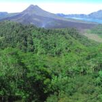 Bali Ubud & Kintamani Volcano Tour -All Inclusive - Ubud’s Cultural Heart & Monkey Forest