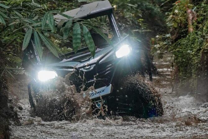 Bali UTV-BUGGY Wild Drive With Lunch at Cretya Sunset - Authentic Reviews & What They Reveal