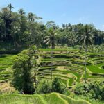 Bali Volcano & Ubud Day Tour  Temples, Rice Terraces & Lunch - Final Thoughts