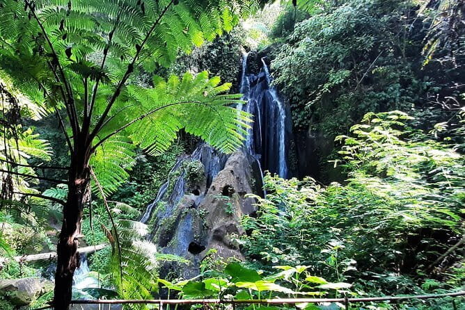 Bali Waterfall in One Day Tours, Hidden Waterfall - All Inclusive - A Deep Dive into the Waterfalls and Experience