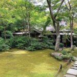 Bamboo Grove Temple and Garden Views Tour - Who This Tour Is Best For