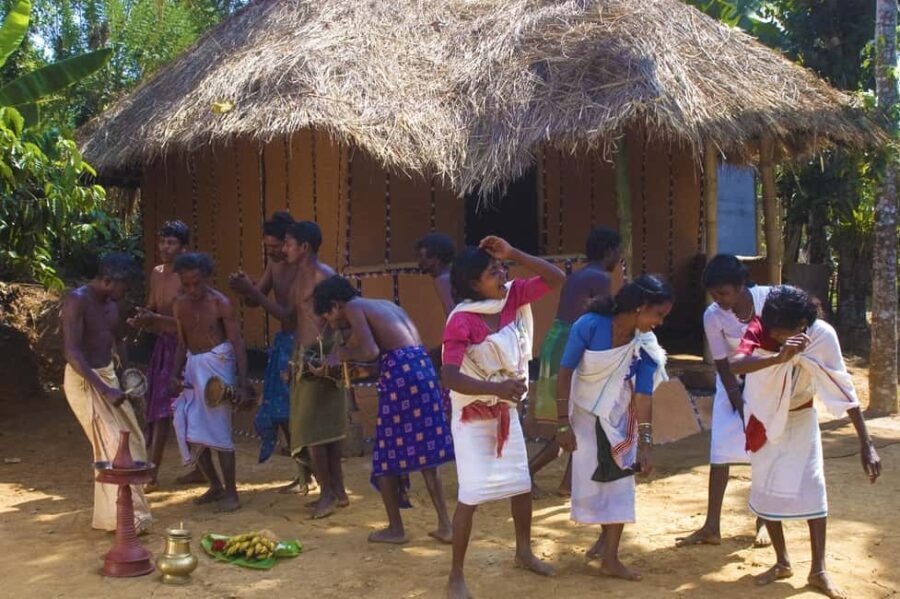 Bamboo Village & Cycling Tour in Wayanad - Who Would Enjoy This Tour?