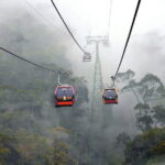 Bana Hills - Golden Hand Bridge Full Day Tour - Who Will Love This Tour?