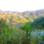 Banaue Rice terraces adventure (3 days 2 nights) from Manila*** - What to Expect on the Tour