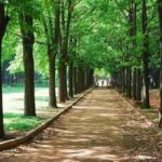 Bangalore: City Highlights Guided Tour - The Itinerary Breakdown