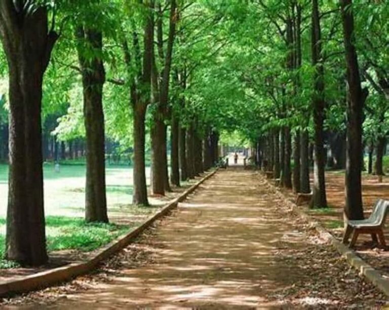 Bangalore: City Highlights Guided Tour - The Itinerary Breakdown