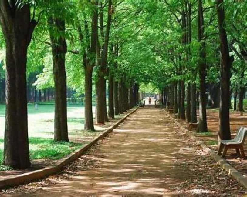 Bangalore: City Highlights Guided Tour - The Itinerary Breakdown