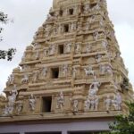 Bangalore Walking Tour KR Flower Market,Fort,Tippu palace - Exploring KR Market: Colors, Scents, and Local Flavor